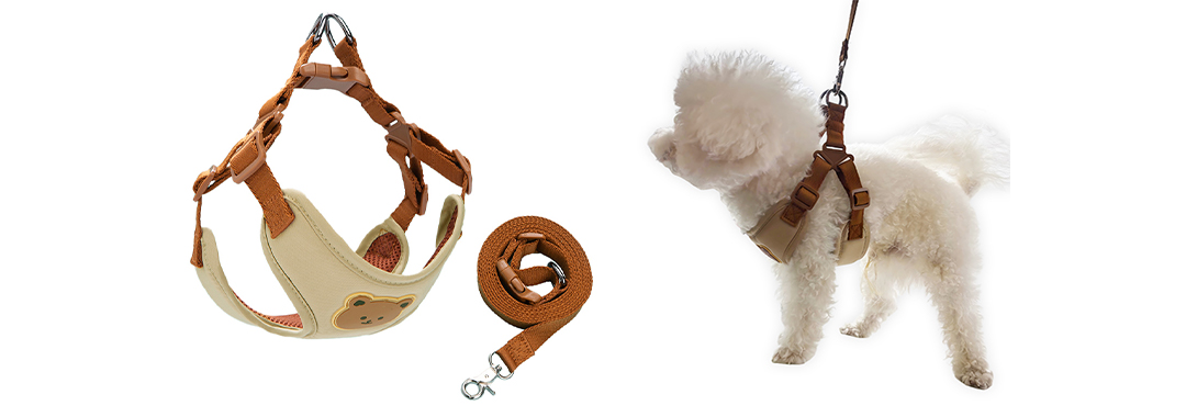 Y-shaped dog harness